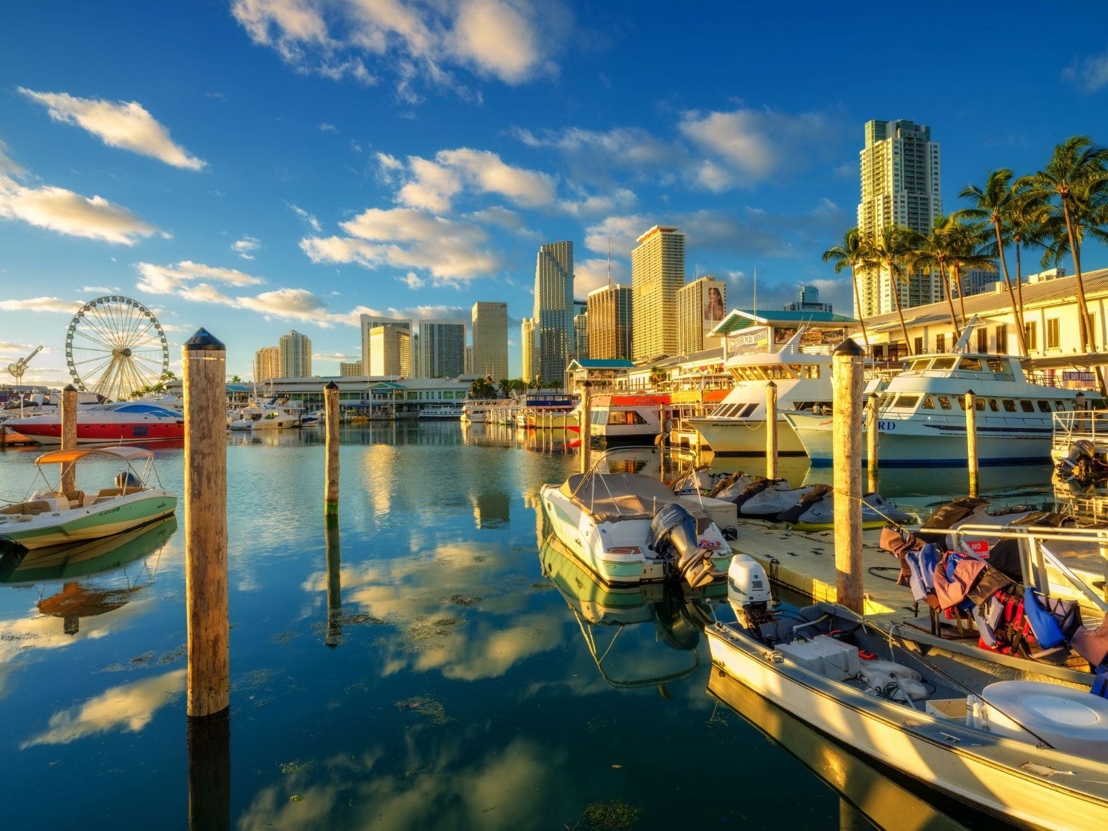 Miami yacht club at sunrise.