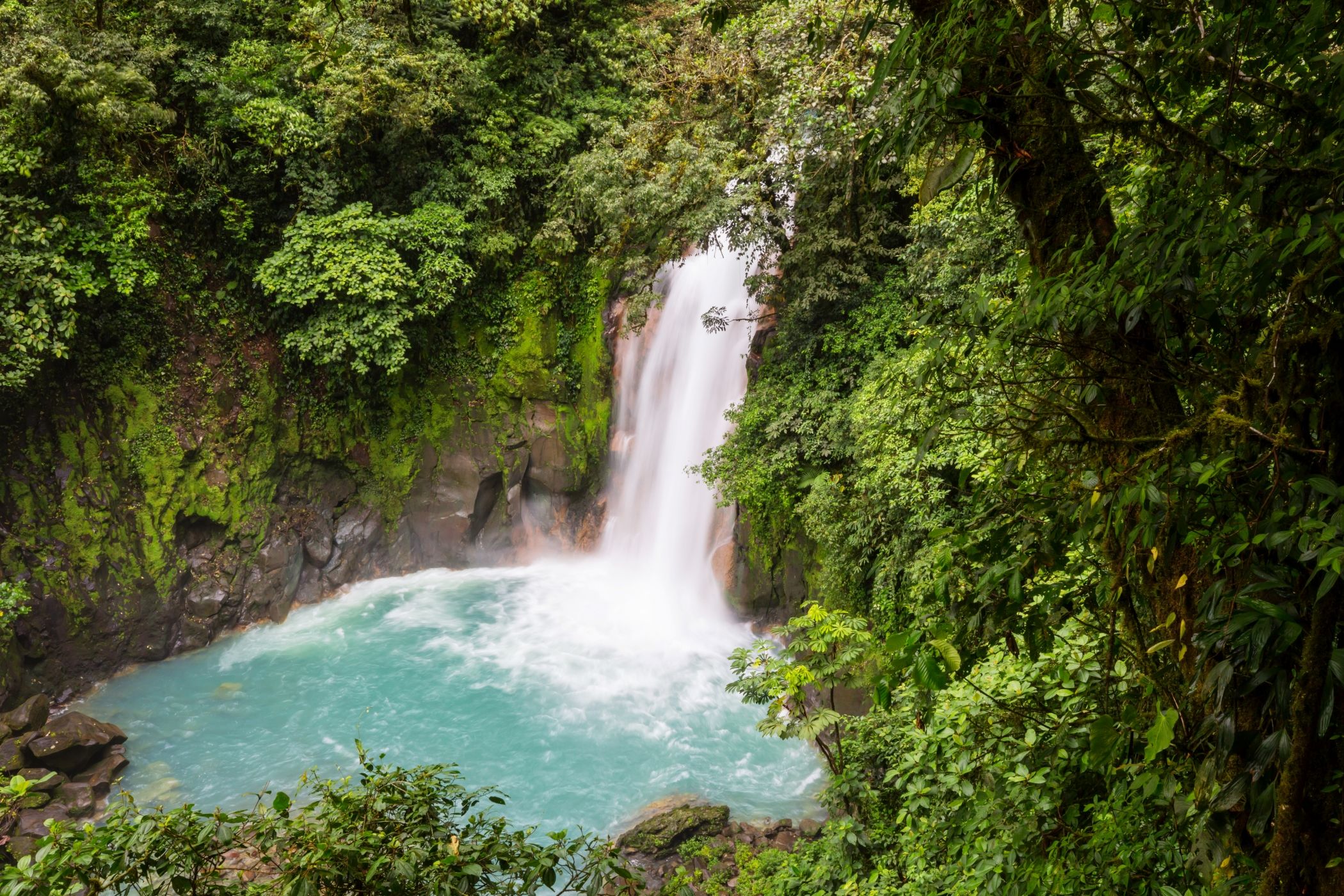 A stunning waterfall in Costa Rica captured from the top looking down with the pool and lush greenery all around.